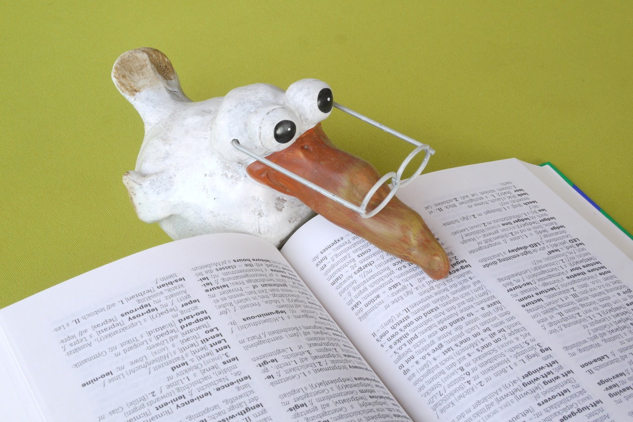 Nauka języka obcego