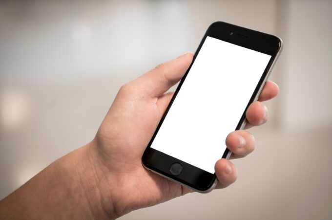Serwis VIVO – kiedy z niego korzystać?