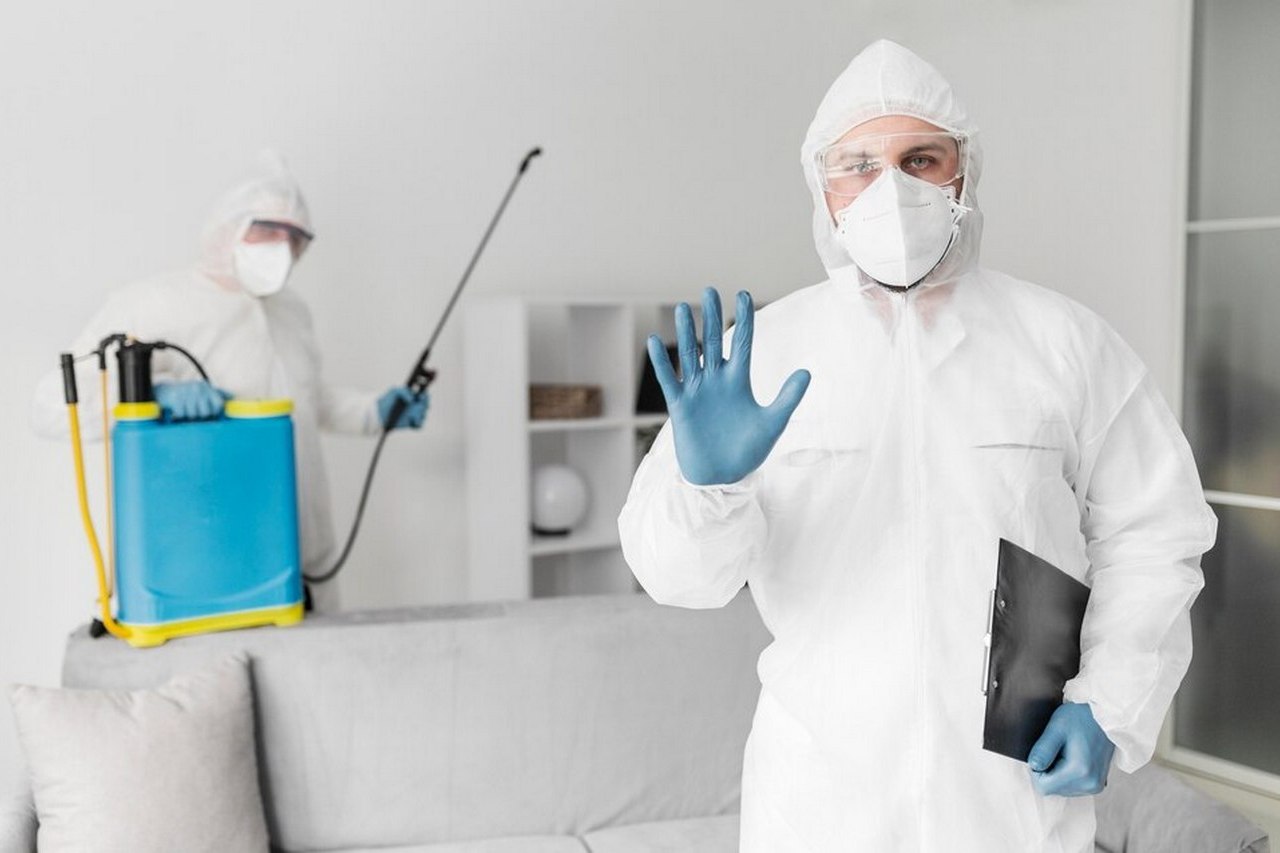 fachowa dezynfekcja